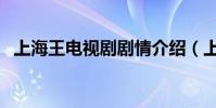 上海王電視劇劇情介紹(上海王簡單介紹)