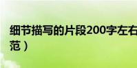 細節描寫的片段200字左右(作文細節描寫示范)