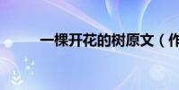 一棵開花的樹原文(作者席慕容)