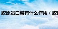 膠原蛋白粉有什么作用(膠原蛋白粉作用多)