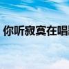 你聽寂寞在唱歌是什么歌（寂寞在唱歌歌詞）