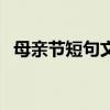 母親節短句文案（有關母親節的超短文案）