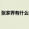 張家界有什么特產小吃（張家界的特產小吃）