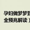 孕婦做夢夢到蛇是什么意思（孕婦夢見蛇的最全預兆解讀）