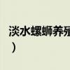淡水螺螄養殖方法（淡水螺螄養殖方法是什么）
