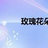 玫瑰花朵折紙（玫瑰花朵數含義）