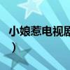 小娘惹電視劇劇情介紹（小娘惹電視劇的導演）