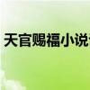 天官賜福小說講的什么（天官賜福小說介紹）