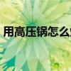 用高壓鍋怎么燉排骨（用高壓鍋怎樣燉排骨）