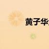 黃子華金句（黃子華經典語錄）