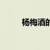 楊梅酒的做法（泡楊梅酒的技巧）