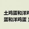 土雞蛋和洋雞蛋的區別有哪些（如何區別土雞蛋和洋雞蛋）