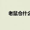 老鼠倉什么意思（老鼠倉的過程長嗎）