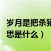 歲月是把殺豬刀啥意思（歲月是把殺豬刀的意思是什么）