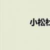 小松杜荀鶴原文（小松講解）