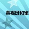 黃褐斑和雀斑的區別（教大家怎么區分）