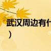 武漢周邊有什么好玩的地方（武漢可以去哪玩）