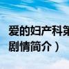 愛的婦產科第一季演員表（愛的婦產科第一季劇情簡介）