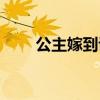 公主嫁到講什么（電視劇內容介紹）
