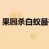果園殺白蟻最有效的方法（果園怎么殺白蟻）