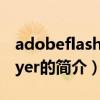 adobeflashplayer是什么（adobeflashplayer的簡介）