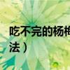 吃不完的楊梅怎么保存（吃不完的楊梅保存方法）