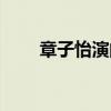 章子怡演的電影（各自有什么特色）
