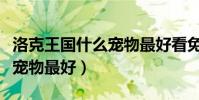洛克王國什么寵物最好看免費(洛克王國什么寵物最好)