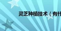 靈芝種植技術(有什么步驟)