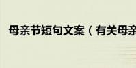母親節短句文案(有關母親節的超短文案)