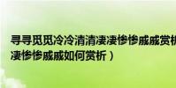 尋尋覓覓冷冷清清凄凄慘慘戚戚賞析(尋尋覓覓冷冷清清凄凄慘慘戚戚如何賞析)
