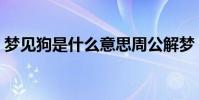 夢見狗是什么意思周公解夢(夢見狗的意思)