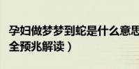 孕婦做夢夢到蛇是什么意思(孕婦夢見蛇的最全預兆解讀)