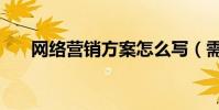網絡營銷方案怎么寫(需要寫到什么)