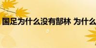 國足為什么沒有郜林 為什么郜林不能踢國足