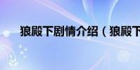 狼殿下劇情介紹(狼殿下劇情是什么)