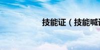 技能證(技能喊話宏)