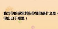 我對你的感覺其實你懂得是什么歌(我對你的感覺其實你懂得出自于哪里)