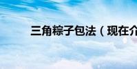三角粽子包法(現在介紹給大家)