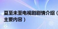 夏至未至電視劇劇情介紹(夏至未至電視劇的主要內容)