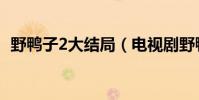 野鴨子2大結局(電視劇野鴨子2的大結局)
