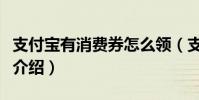 支付寶有消費券怎么領(支付寶消費券怎么領介紹)