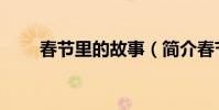 春節里的故事(簡介春節里的故事)
