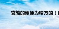 袋熊的便便為啥方的(原來是這樣)