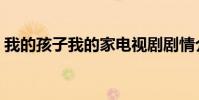 我的孩子我的家電視劇劇情介紹(劇集評價)