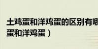土雞蛋和洋雞蛋的區別有哪些(如何區別土雞蛋和洋雞蛋)