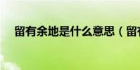 留有余地是什么意思(留有余地指什么)