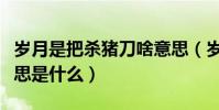 歲月是把殺豬刀啥意思(歲月是把殺豬刀的意思是什么)
