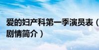 愛的婦產科第一季演員表(愛的婦產科第一季劇情簡介)