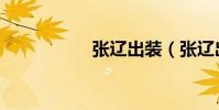 張遼出裝(張遼出裝)